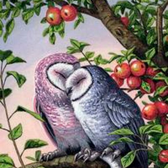 Tarot of the Owls Mini Deck, beginner deck, guidebook - Picture 2 of 5